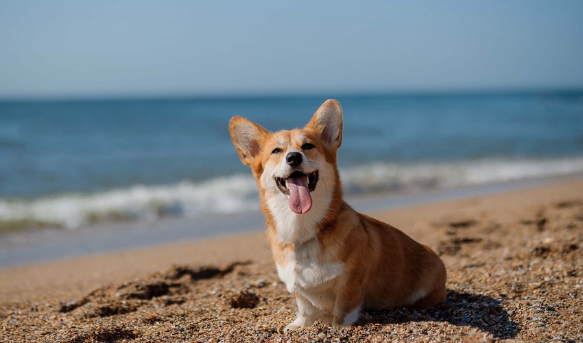 Minimalistic-composition-of-bedroom-interior-with-wooden-bed